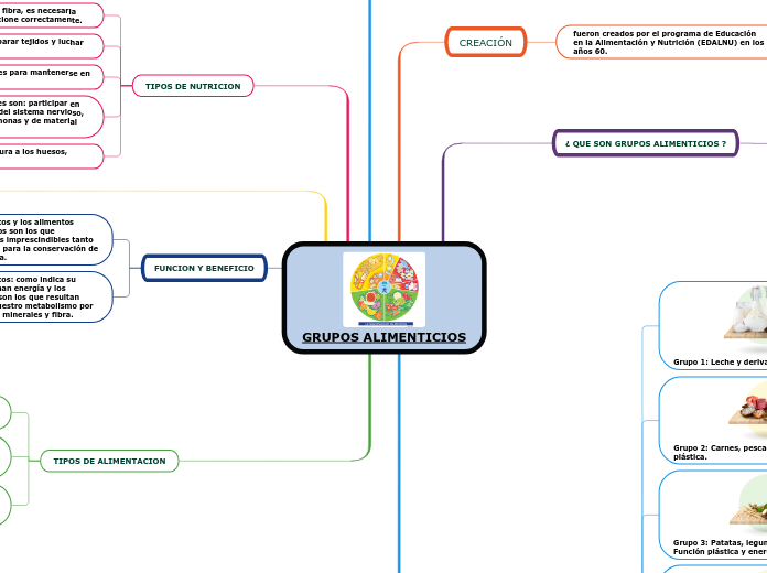 Grupos Alimenticios Y Nutrientes Concept Map Sexiz Pix 8846